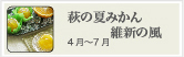 萩の夏みかん 維新の風